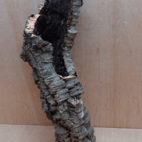 Small Cork Tube - 40-60cm - 12