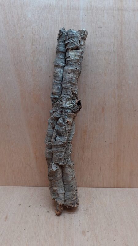 Small Cork Tube - 40-60cm - 18