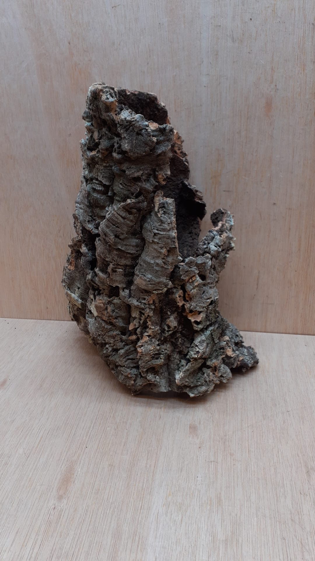 Medium Cork Tube - Upto 40cm - 4