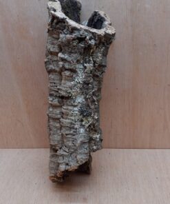 Medium Cork Tube - 40-60cm - 10