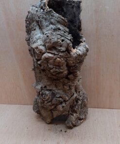 Medium Cork Tube - 40-60cm - 11