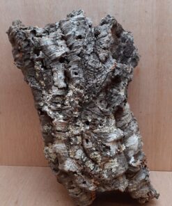 Medium Cork Tube - 40-60cm - 13