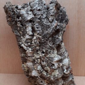 Medium Cork Tube - 40-60cm - 13