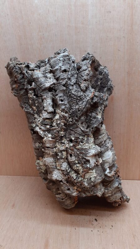 Medium Cork Tube - 40-60cm - 13