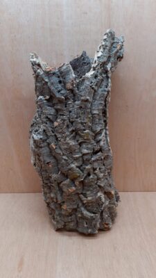 Medium Cork Tube - 40-60cm - 15