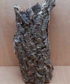 Medium Cork Tube - 40-60cm - 15