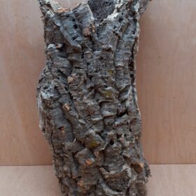 Medium Cork Tube - 40-60cm - 15