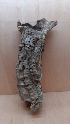 Medium Cork Tube - 60-80cm - 10