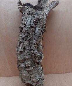 Medium Cork Tube - 60-80cm - 10