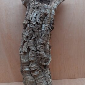 Medium Cork Tube - 60-80cm - 10