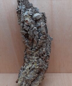 Medium Cork Tube - 60-80cm - 11