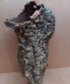 Large Cork Tube - 40-60cm - 6