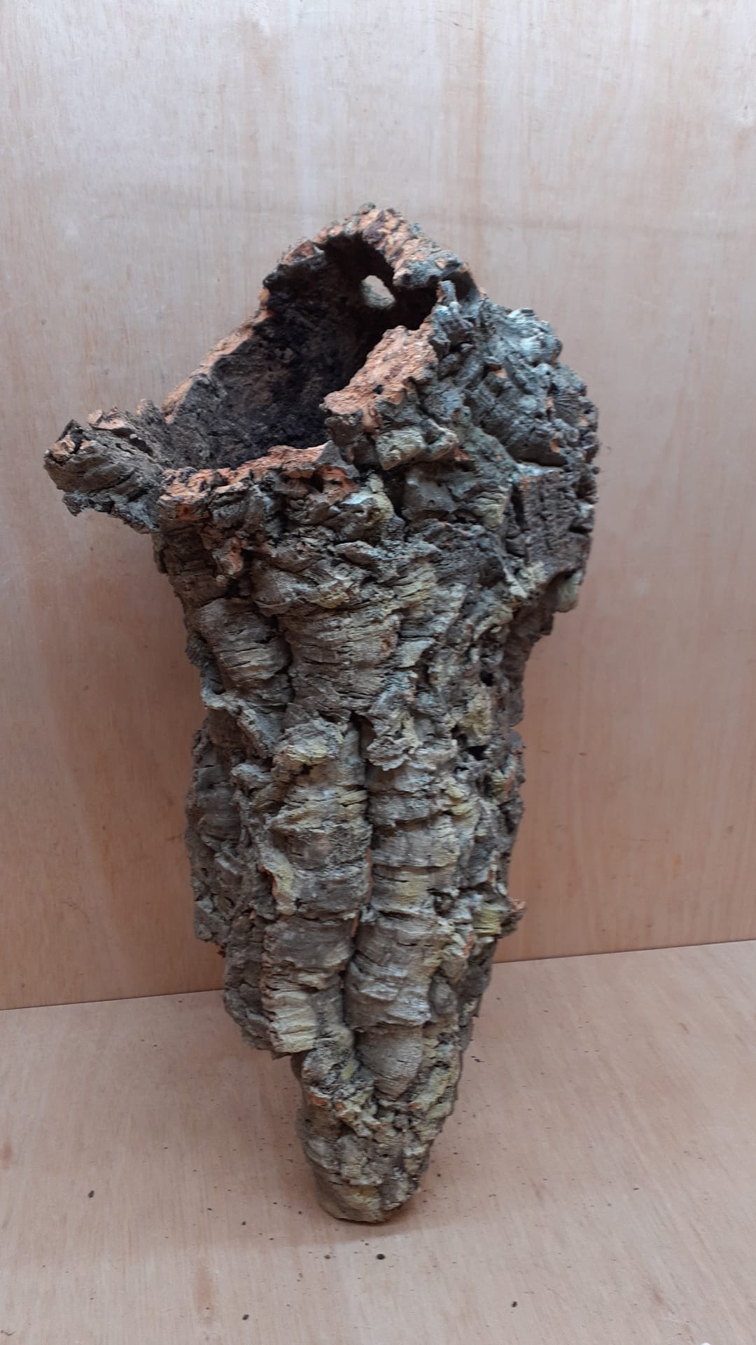 Large Cork Tube - 40-60cm - 6