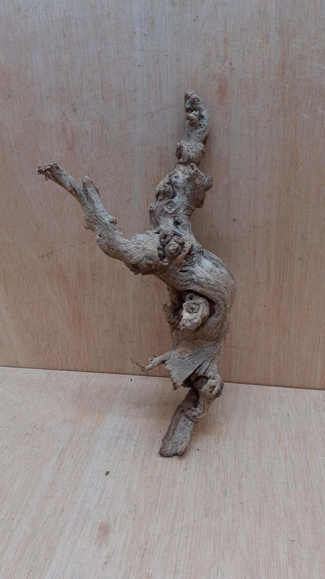 Sandblasted Grapevine - Small 5