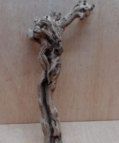 Sandblasted Grapevine - Small 14