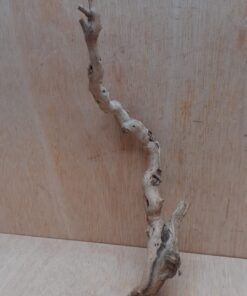 Sandblasted Grapevine - Small 17