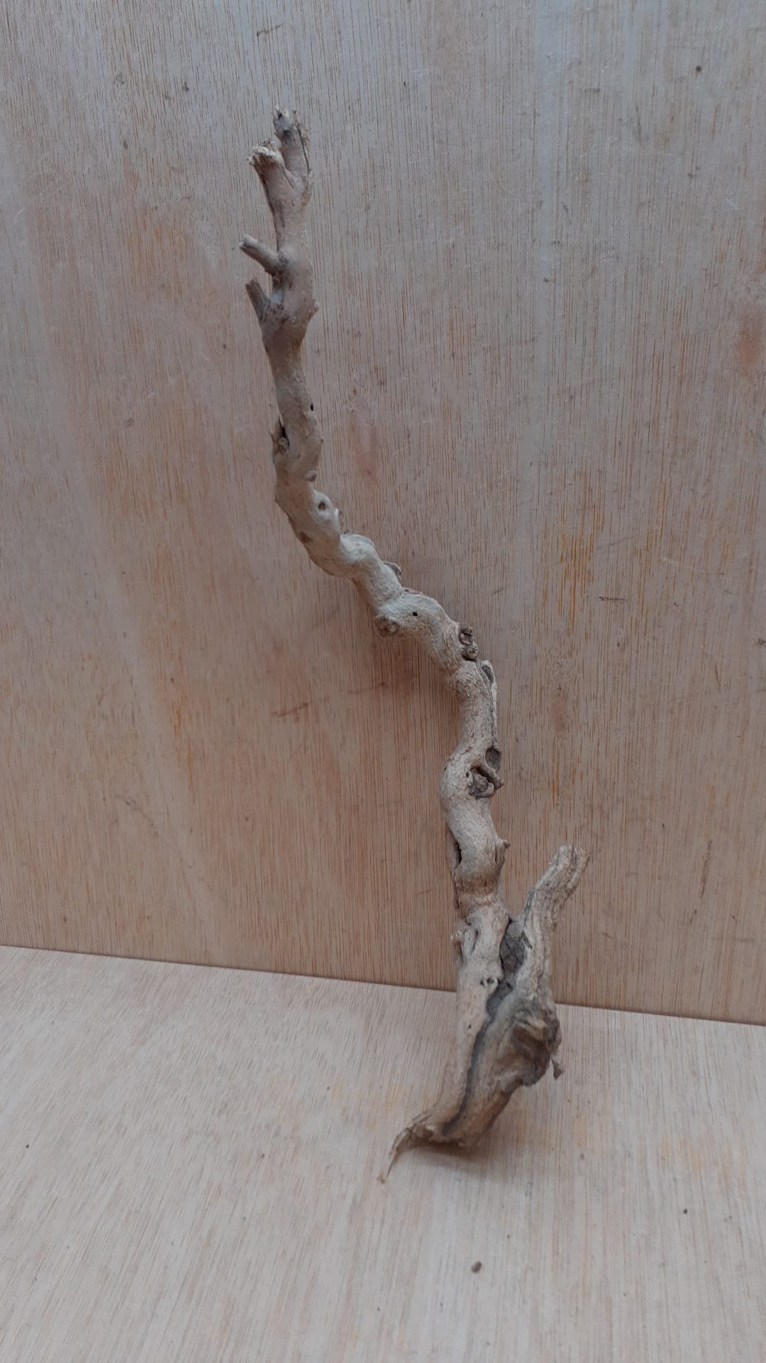 Sandblasted Grapevine - Small 17