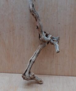 Sandblasted Grapevine - Small 20