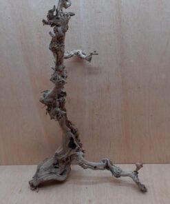 Sandblasted Grapevine - Medium 7