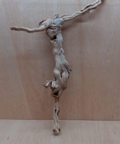 Sandblasted Grapevine - Large 19