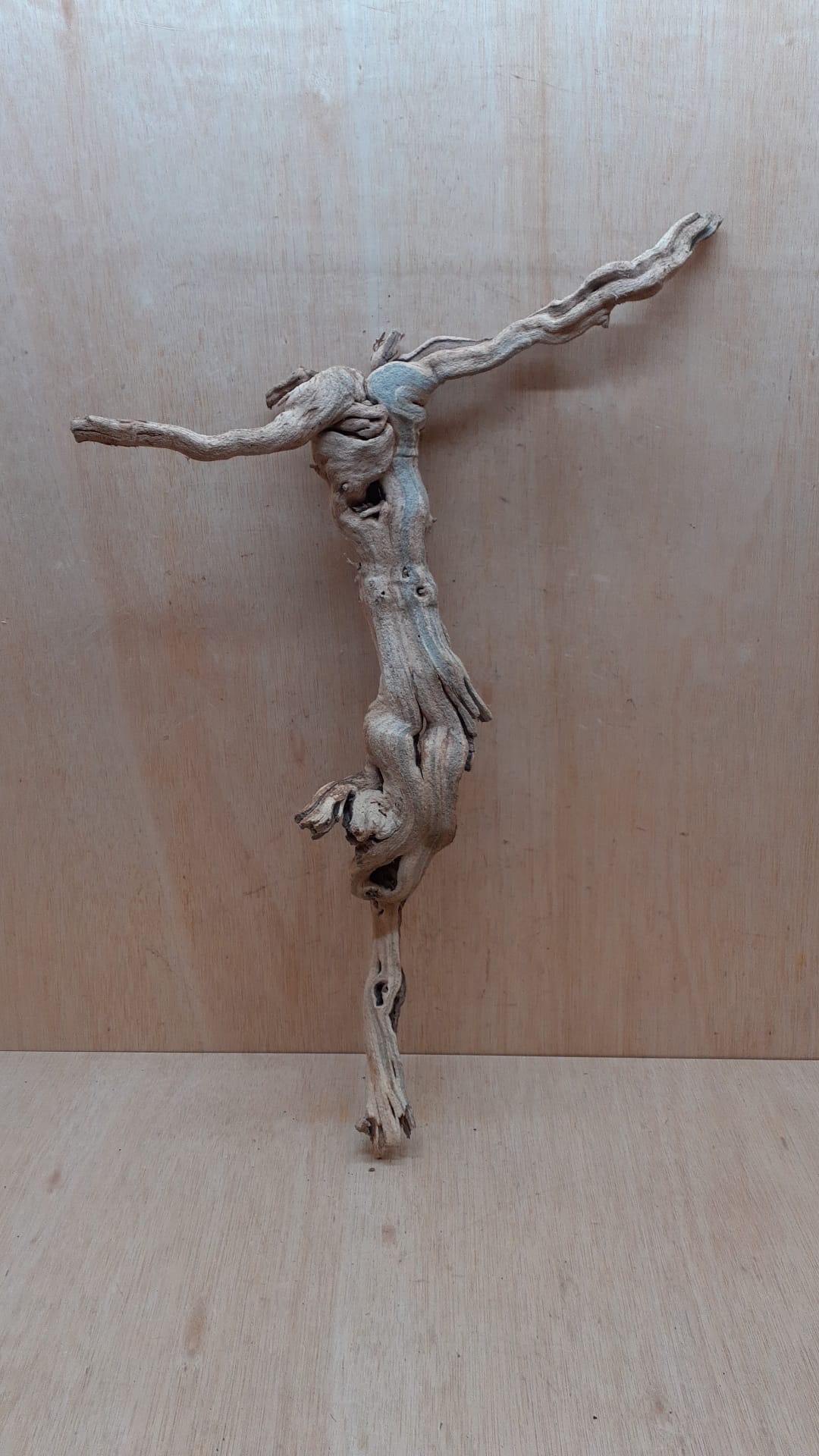 Sandblasted Grapevine - Large 19