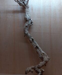 Sandblasted Grapevine - XL 1