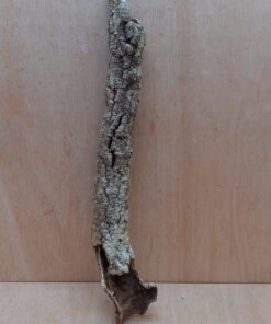 Small Cork Tube - 40-60cm - 10