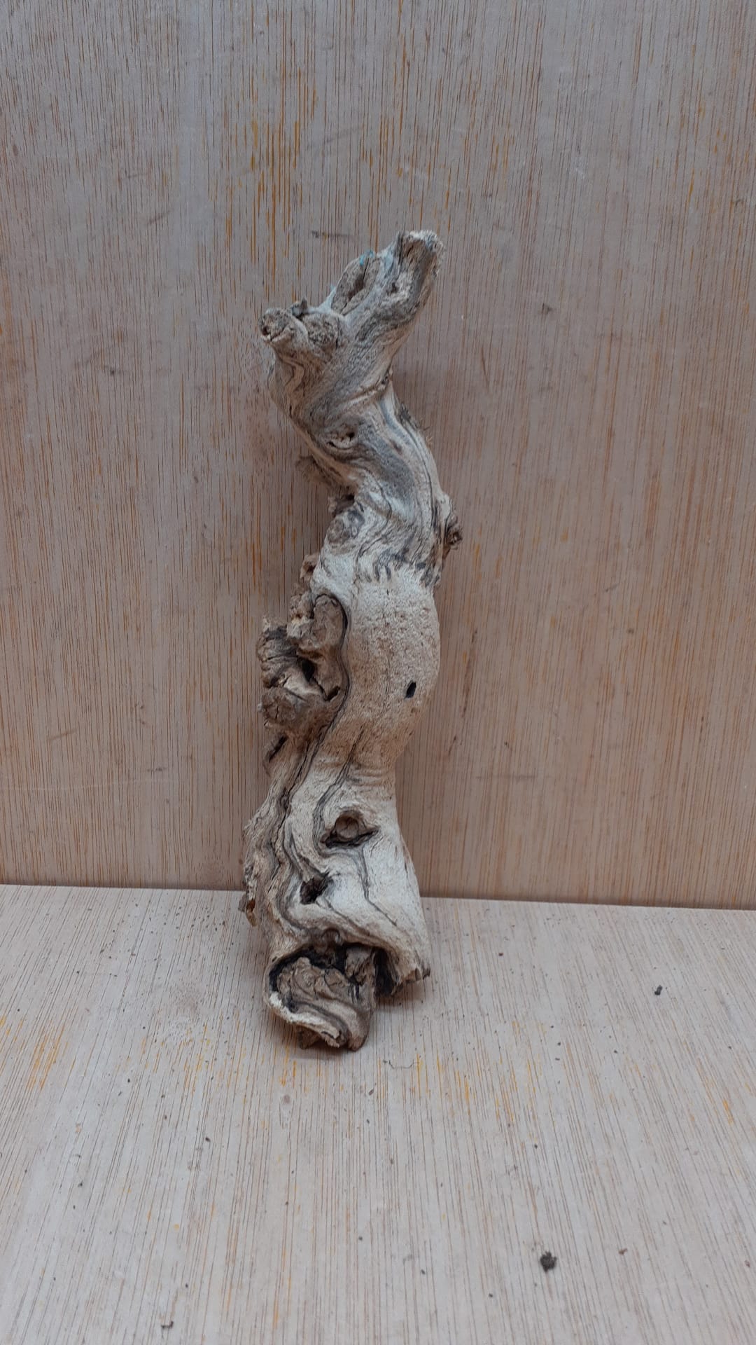 Sandblasted Grapevine - Small 9