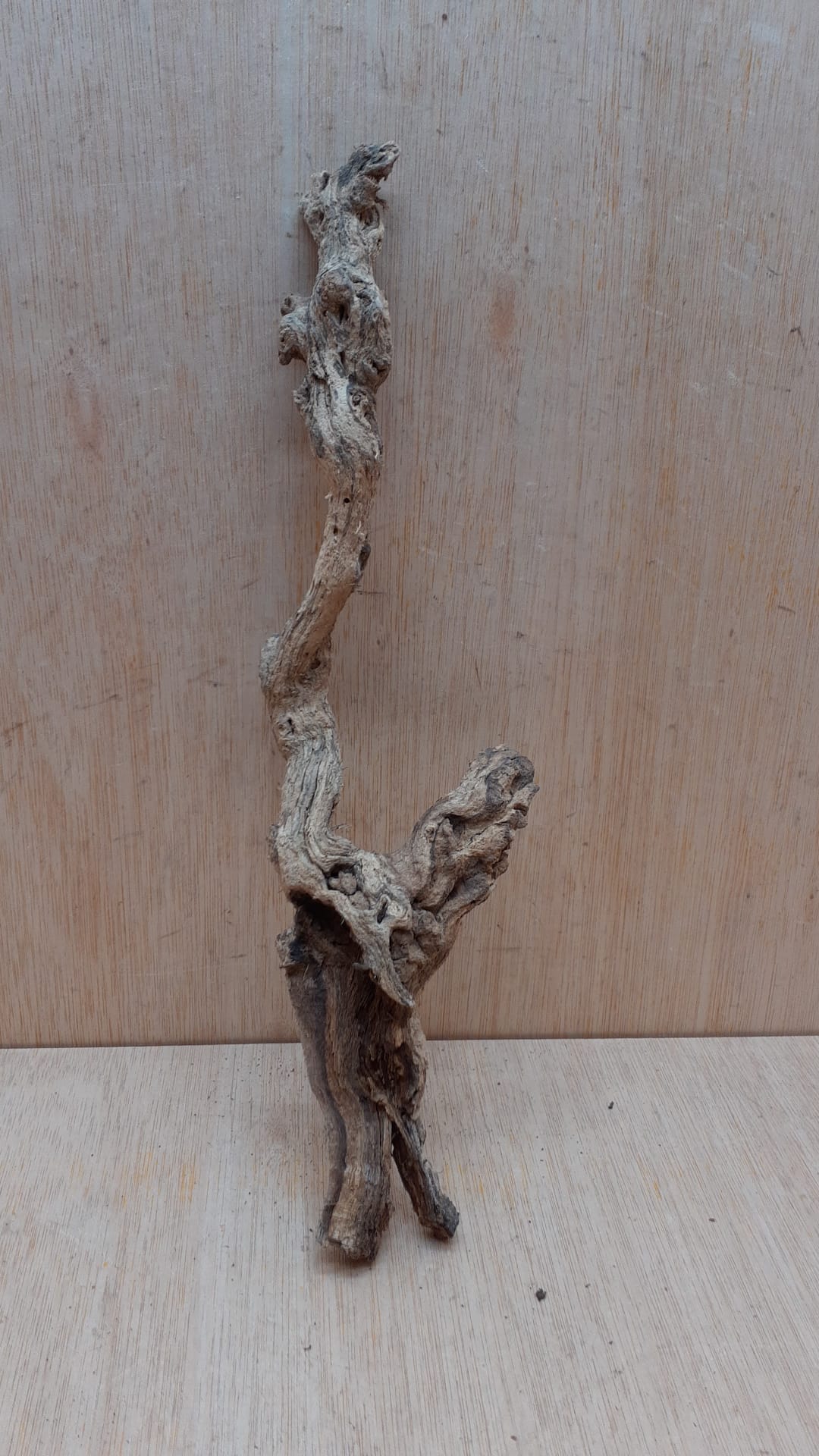 Sandblasted Grapevine - Small 15