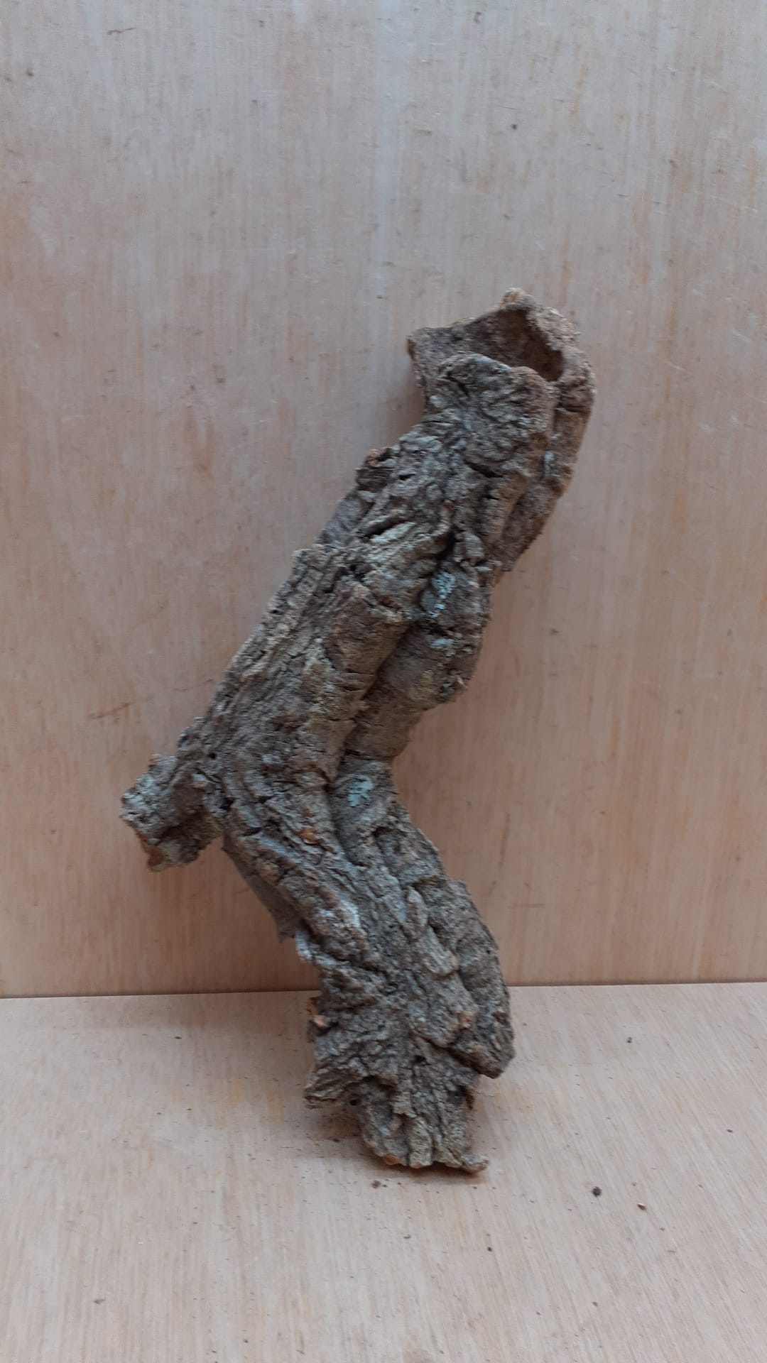 Small Cork Tube - Upto 40cm - 3