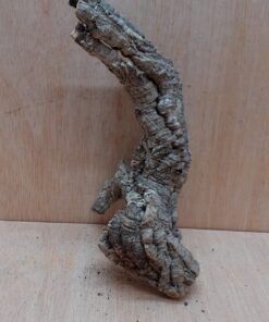 Small Cork Tube - Upto 40cm - 6