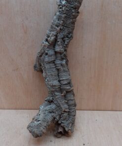 Small Cork Tube - Upto 40cm - 19