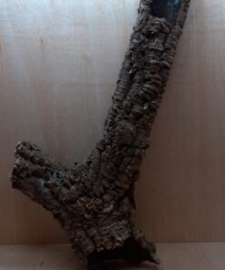 Medium Cork Tube - 80-110cm - 12