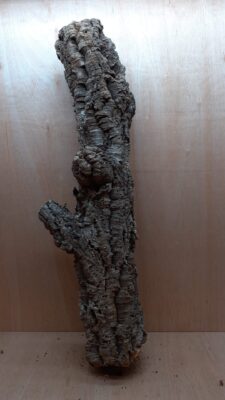 Medium Cork Tube - 80-110cm - 13