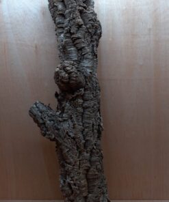 Medium Cork Tube - 80-110cm - 13