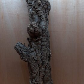 Medium Cork Tube - 80-110cm - 13