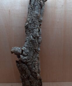 Medium Cork Tube - 80-110cm - 14