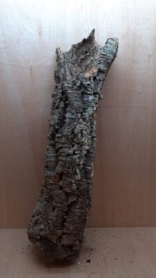 Medium Cork Tube - 80-110cm - 16
