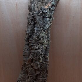 Medium Cork Tube - 80-110cm - 16