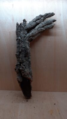 Medium Cork Tube - 80-110cm - 18