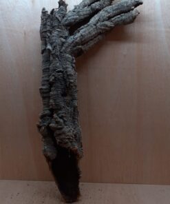 Medium Cork Tube - 80-110cm - 18