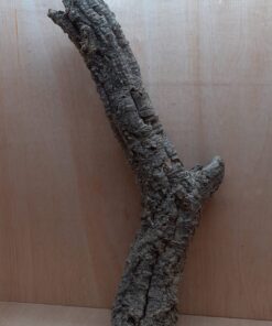 Medium Cork Tube - 80-110cm - 19