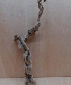 Sandblasted Grapevine - Medium 6