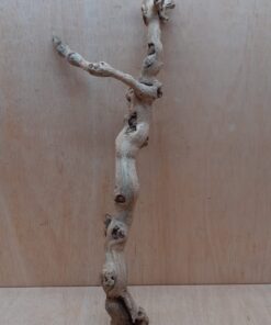 Sandblasted Grapevine - Medium 11