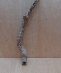 Sandblasted Grapevine - Medium 12