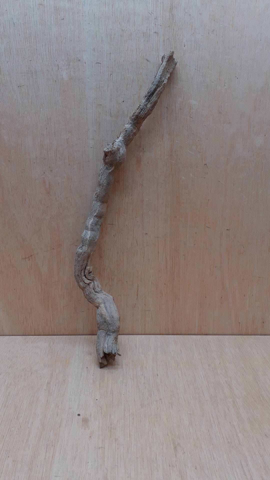 Sandblasted Grapevine - Medium 12