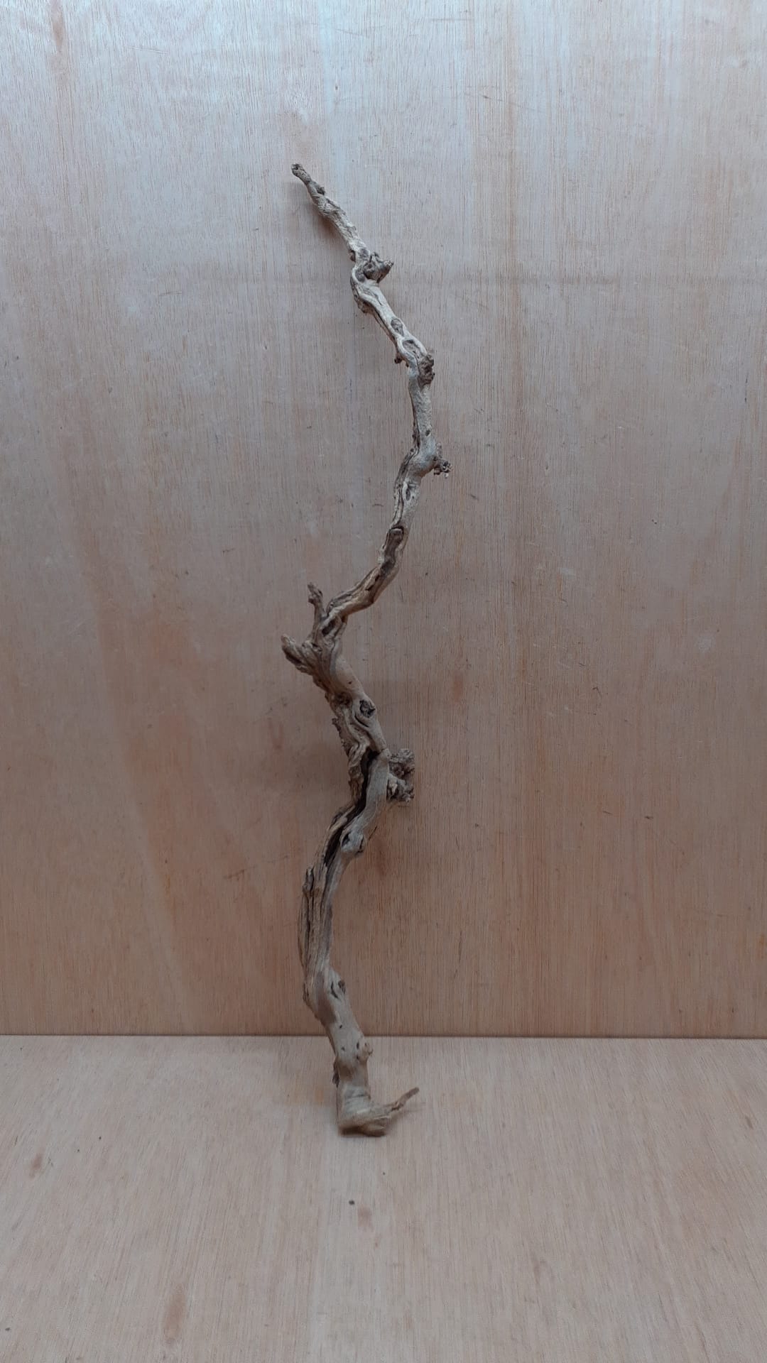 Sandblasted Grapevine - Large 3