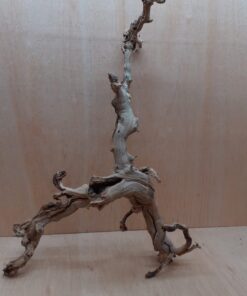 Sandblasted Grapevine - Large 18