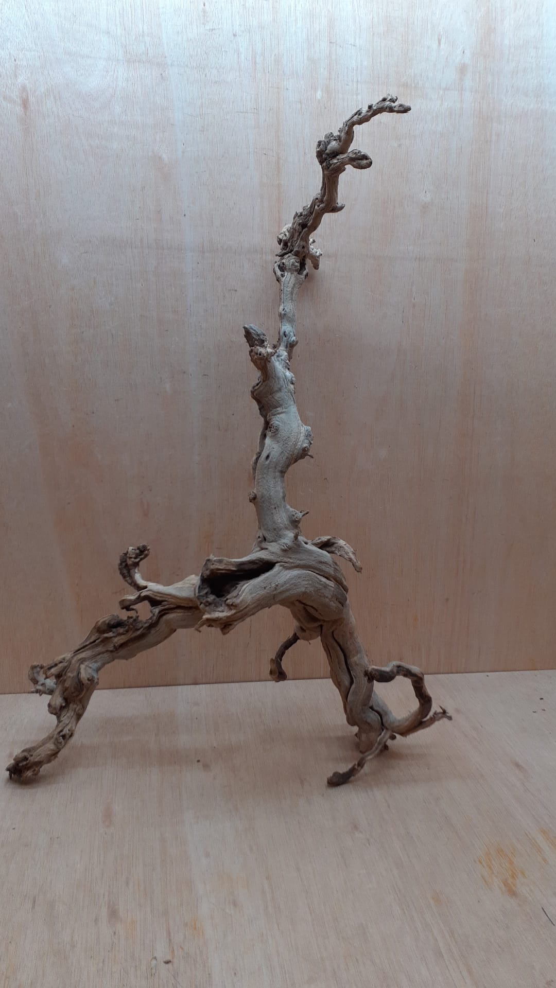 Sandblasted Grapevine - Large 18