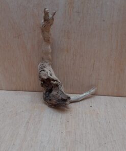 Sandblasted Grapevine - Small 1